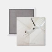 Kattenspringen Magneet (Voorkant / Achterkant)