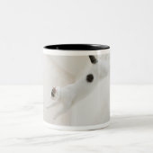 Kattenspringen Tweekleurige Koffiemok (Center)