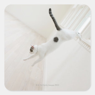 Kattenspringen Vierkante Sticker