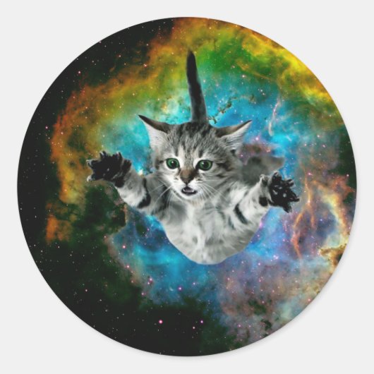 Kattensprong in de ruimte ronde sticker (Voorkant)