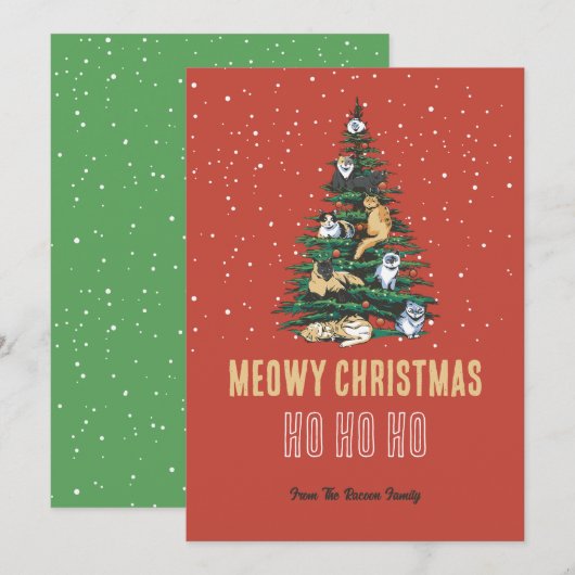 Kattenstaafjes sneeuwwintermeowy Kerstmis Feestdagenkaart (Voorkant / Achterkant)