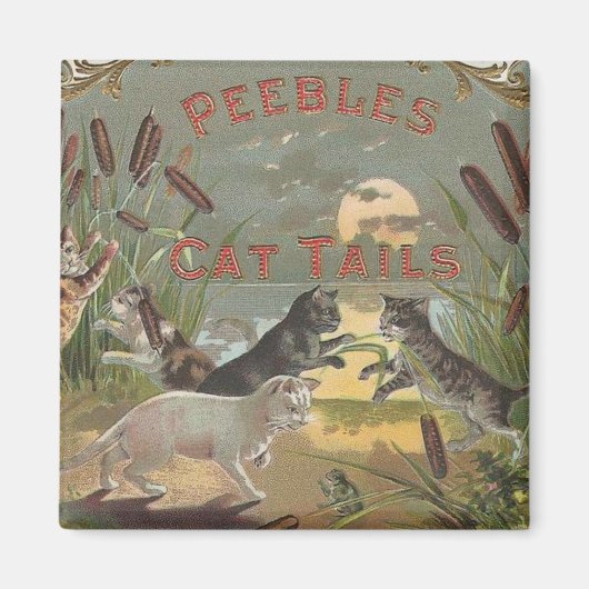  kattenstaarten magneet (Voorkant)