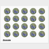 Kattensticker Ronde Sticker (Vel)