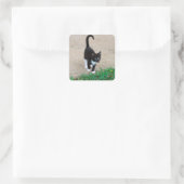 Kattensticker Vierkante Sticker (Tas)