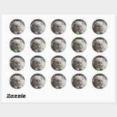 Kattenstickers Ronde Sticker (Vel)