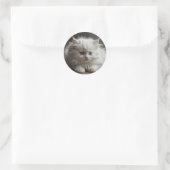 Kattenstickers Ronde Sticker (Tas)