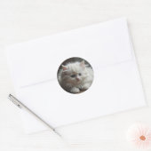 Kattenstickers Ronde Sticker (Envelop)
