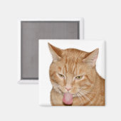 Kattenstong Magneet (Voorkant / Achterkant)