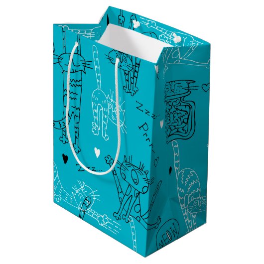 Kattenstreken Medium Cadeauzakje (Achterkant Gekanteld)