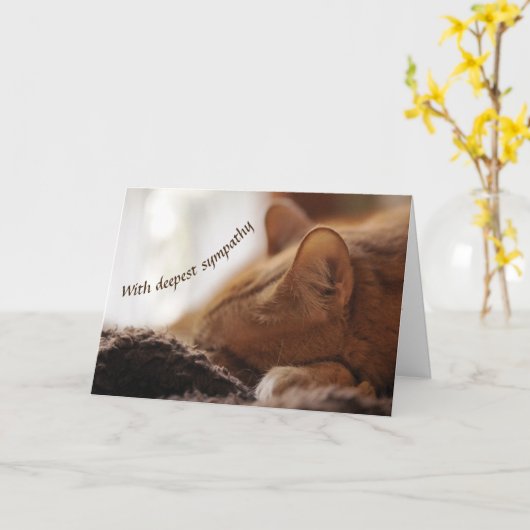 Kattensympathie Kaart (Gele Bloem)