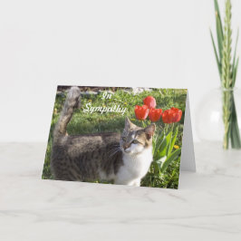 Kattensympathie met rode tulpen kaart