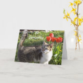 Kattensympathie met rode tulpen kaart (Gele Bloem)