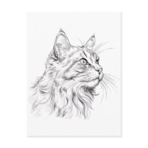 Kattentekening