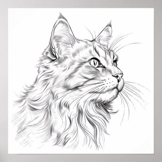 Kattentekening Poster (Voorkant)