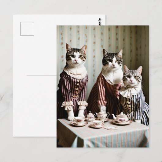 Kattentheeparty Briefkaart (Voorkant / Achterkant)