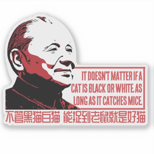 KATTENTHEORIE STICKER (Voorkant)
