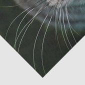 Kattentissuepapier van McGonagall Tissuepapier (Detail)