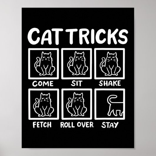 Kattentrucs Grappige Kattenliefhebber Cadeaus Voor Poster (Voorkant)