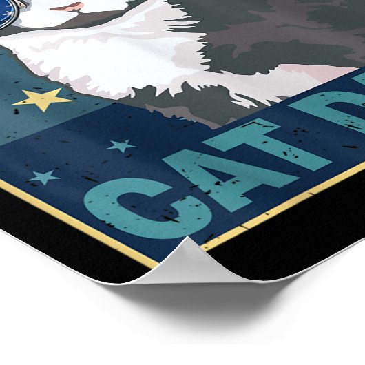 Kattenvader Amerikaanse vlag 4 juli Vaderdag grapp Poster (Hoek)