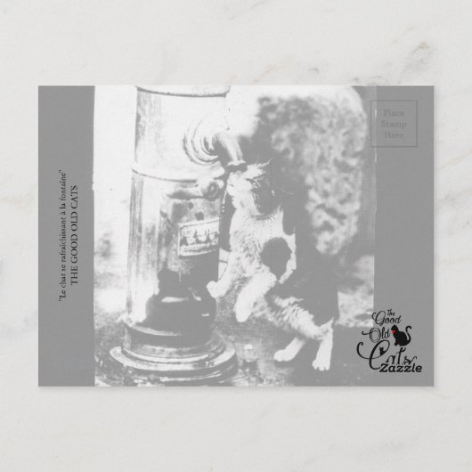 Kattenverfrisser in fontein briefkaart (Achterkant)