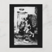 Kattenverfrisser in fontein briefkaart (Voorkant)