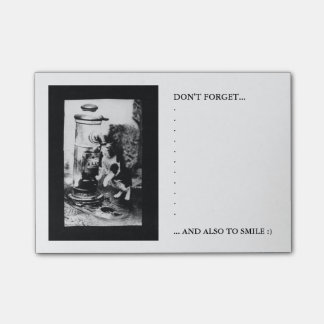 Kattenverfrisser in fontein post-it® notes