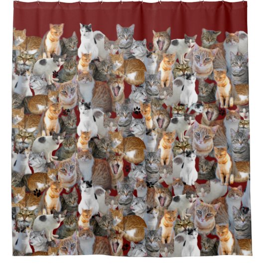 Kattenvergaderpunt - schattig douchegordijn (Voorkant)