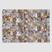 Kattenvergaderpunt - schattig tissuepapier (Voorkant)