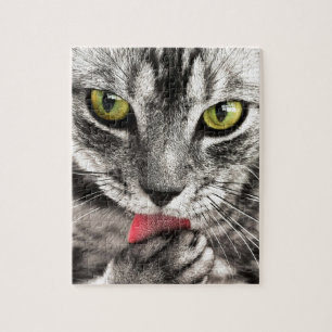Kattenvergunningen Legpuzzel