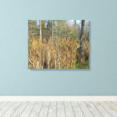 Kattenverhalen in het Bos Canvas Afdruk (Insitu (Houten vloer))