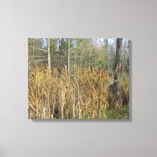 Kattenverhalen in het Bos Canvas Afdruk (Voorkant)