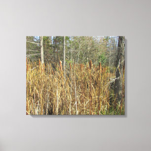 Kattenverhalen in het Bos Canvas Afdruk
