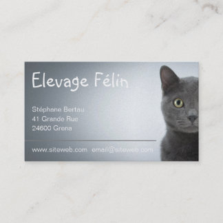 Kattenvisitekaartje, Felien Visitekaartje