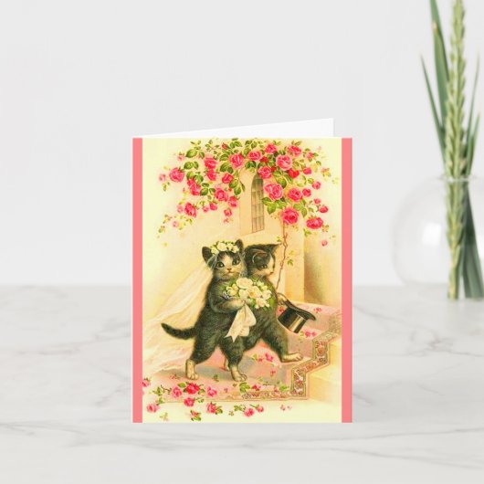 kattenvoer (Voorkant)