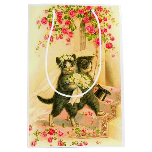 kattenvoer medium cadeauzakje (Voorkant)