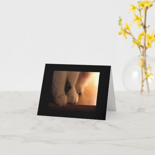 Kattenvoeten Kaart (Gele Bloem)