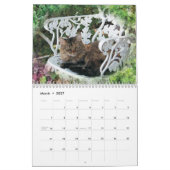 kattenvrienden kalender (Mar 2027)