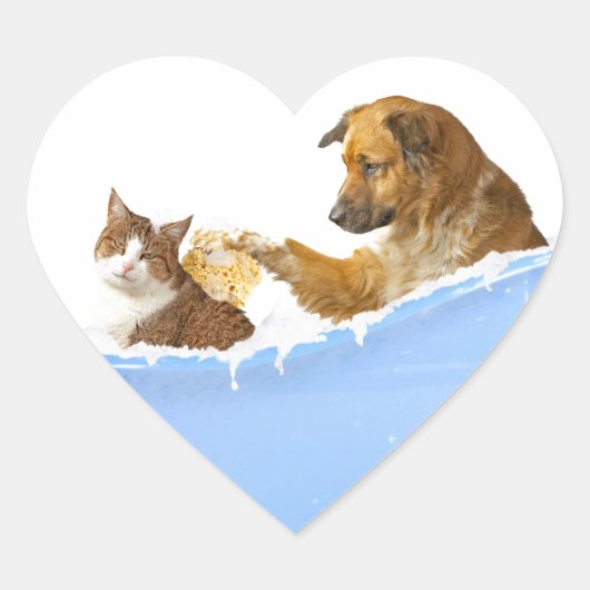Kattenwas Hart Sticker (Voorkant)