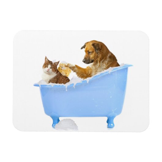 Kattenwas Magneet (Horizontaal)