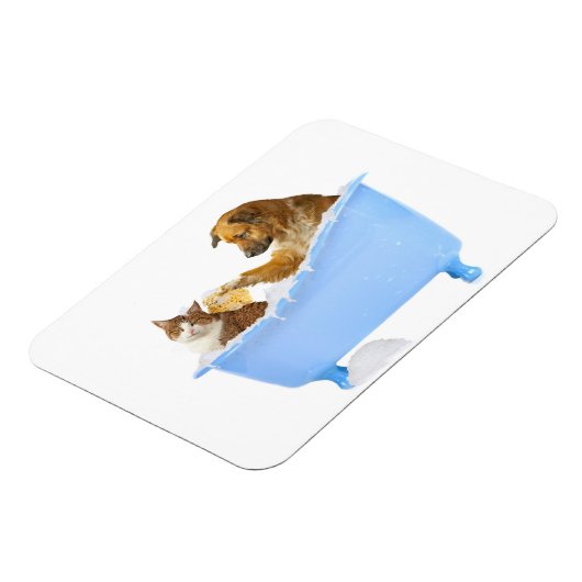 Kattenwas Magneet (Linkerzijde)