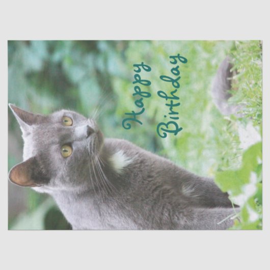 kattenweefsel tissuepapier (Voorkant)