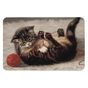 Kattenwiegje, Een Kat Speelt Met Een Bal Garengari Magneet