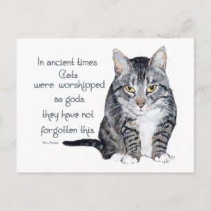 Kattenwijsheid - in de oudheid werden katten briefkaart