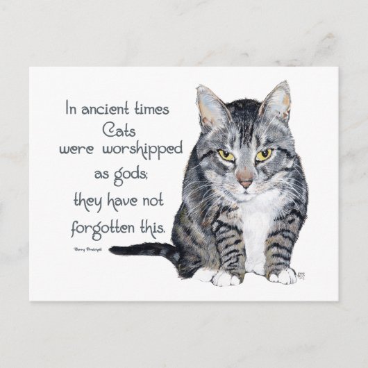 Kattenwijsheid - in de oudheid werden katten briefkaart (Voorkant)