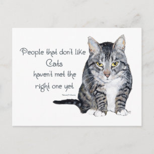 Kattenwijsheid - Mensen die geen katten leuk vinde Briefkaart