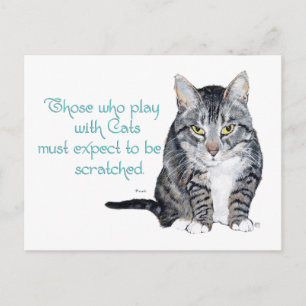 Kattenwijsheid - Spelen om gekrabd te worden? Briefkaart