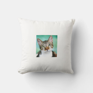 Kattenworp Kussen
