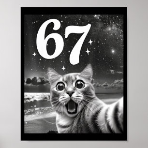 Kattenzelfie Met 67 Meme Grappige Katten Grafisch  Poster