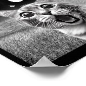 Kattenzelfie met 67 Meme Grappige Katten Grafisch Poster (Hoek)