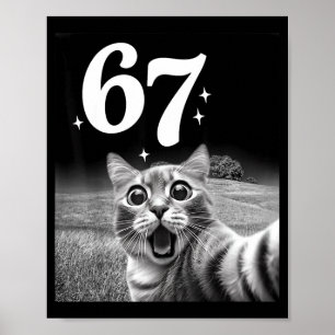 Kattenzelfie met 67 Meme Grappige Katten Grafisch  Poster